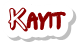 nick kayıt