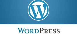 WordPress Sohbet Temaları Nelerdir