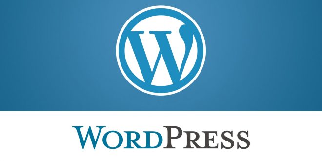 WordPress Sohbet Temaları Nelerdir