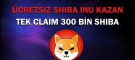 ücretsiz shiba kazan