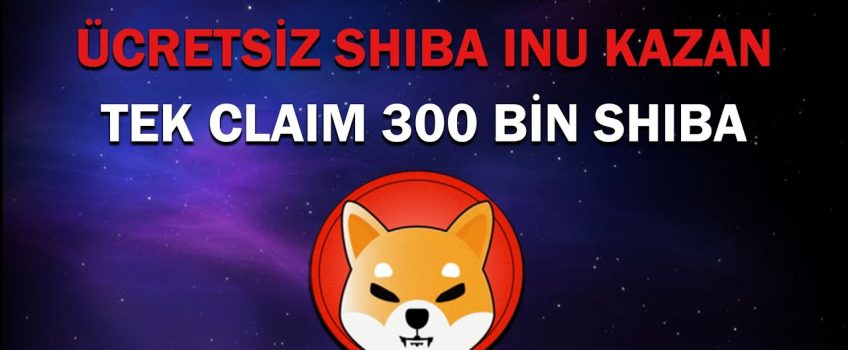 ücretsiz shiba kazan