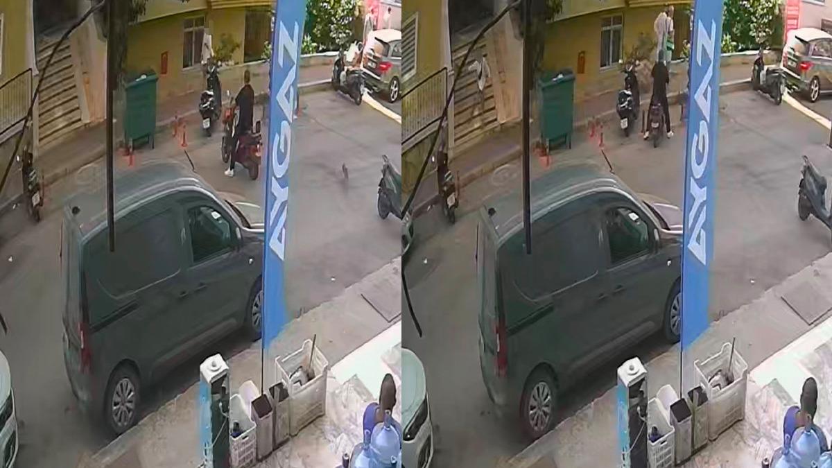 Canilik! Alanya’da Korkunç Görüntü: Kediyi Fırlatan Şahsa Tepki Yağıyor