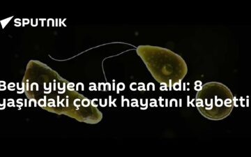 Naegleria fowleri