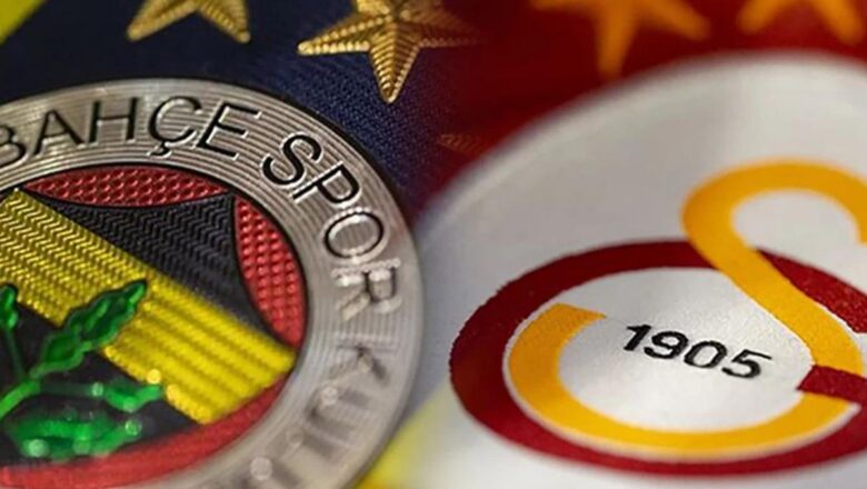 Fenerbahçe Lyon 2-1