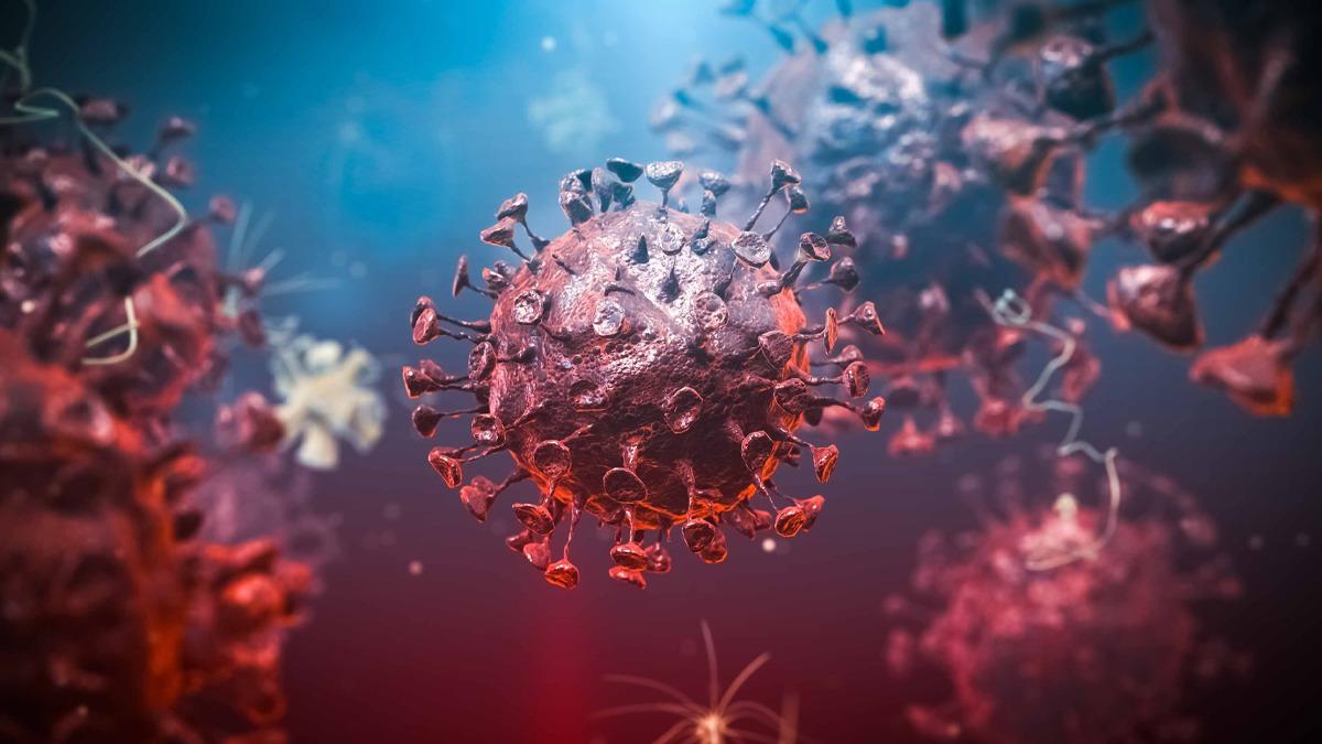 DSÖ’den Korkutan Ebola Uyarısı: Salgın Kontrolden Çıkıyor!