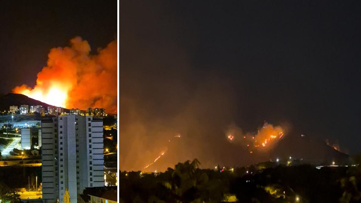 Ankara'da ağaçlık