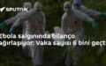 Ebola salgını