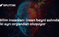 beyin