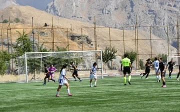 Hakkarigücü
