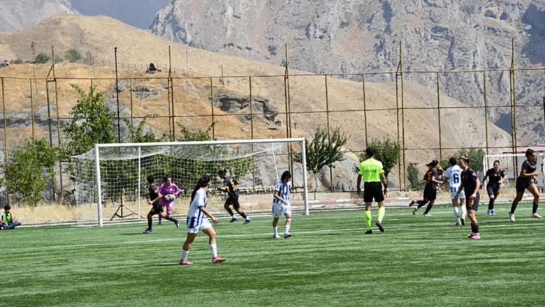 Hakkarigücü