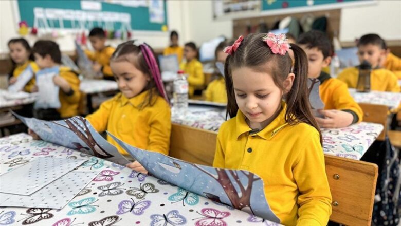ekran kullanımı